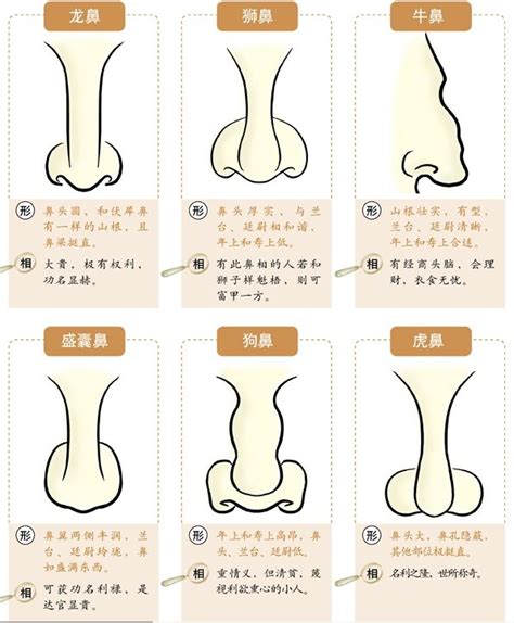 克夫鼻|克夫